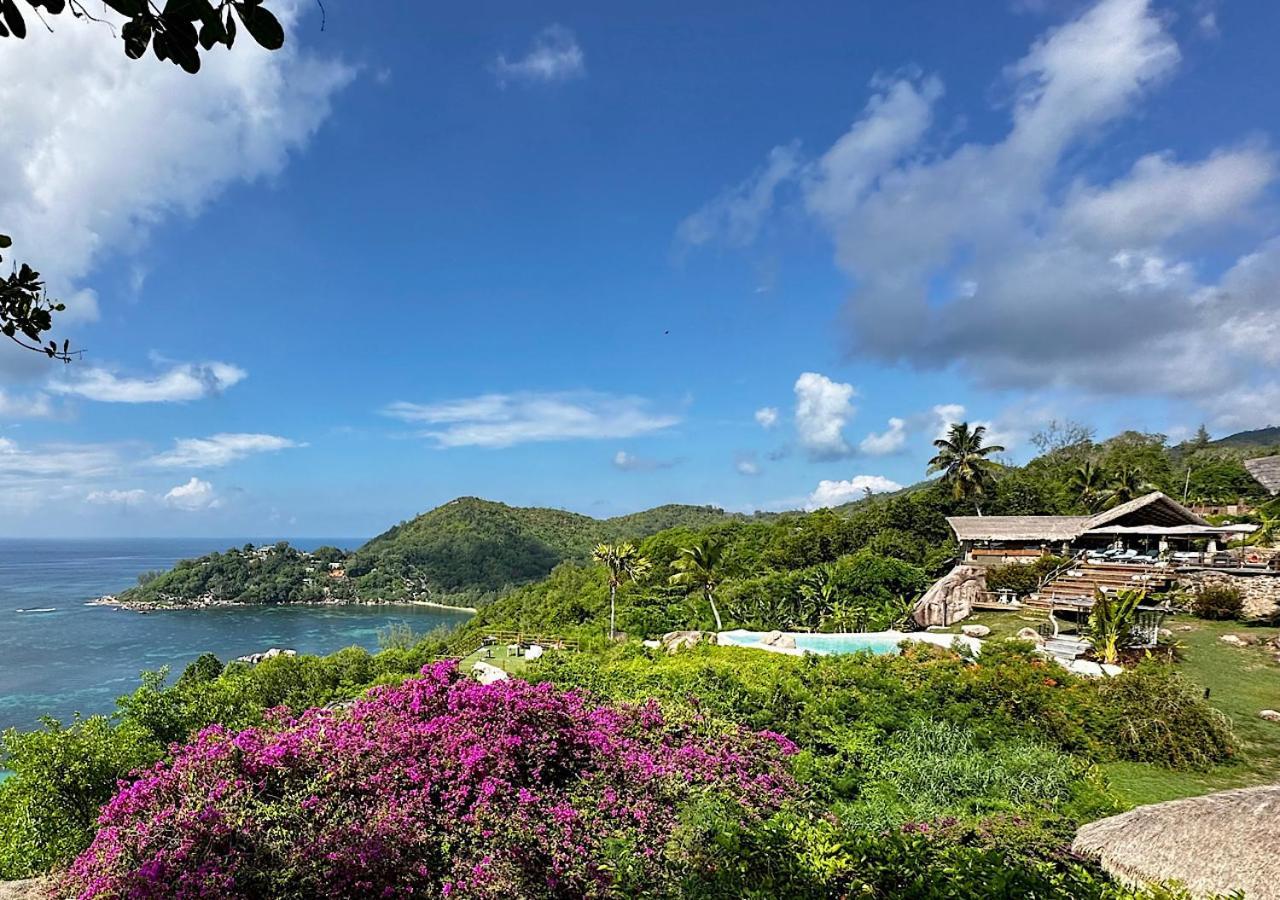 Le Château de feuilles Baie Sainte-Anne Extérieur photo