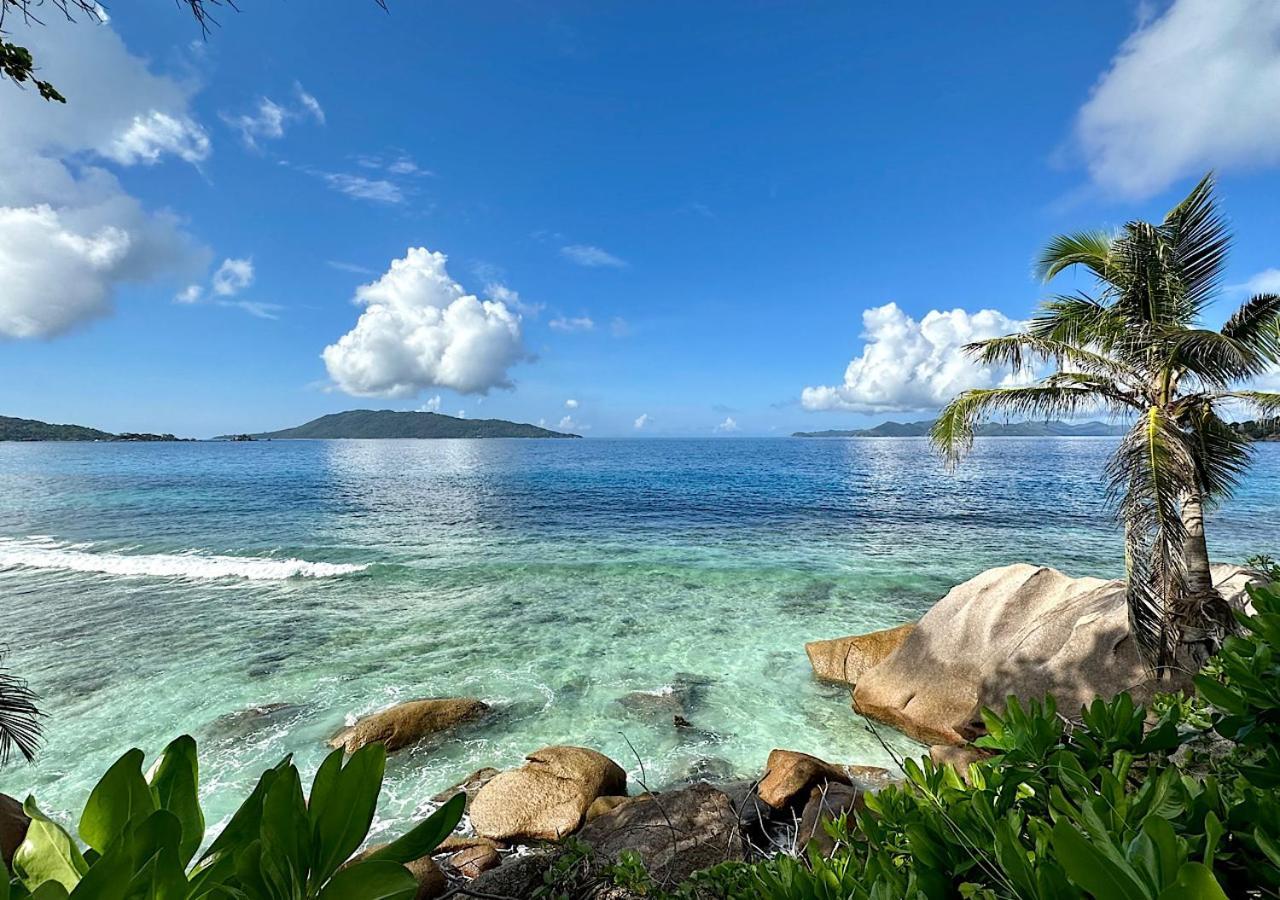 Le Château de feuilles Baie Sainte-Anne Extérieur photo